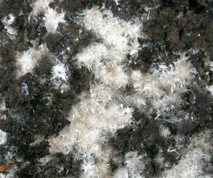 Hydrozincite with Plattnerite from Mina Ojuela, Mapimi, Durango, Mexico