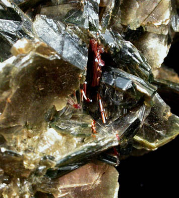 Muscovite with Rutile from Shelby, Cleveland County, North Carolina