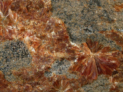 Stilbite on schist from Manhattan Island, New York City, New York