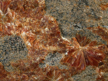 Stilbite on schist from Manhattan Island, New York City, New York