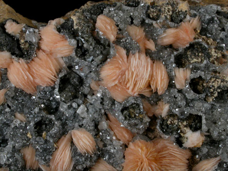 Barite and Cerussite from Mibladen, Haute Moulouya Basin, Zeida-Aouli-Mibladen belt, Midelt Province, Morocco