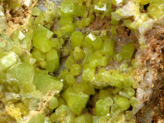 Pyromorphite from Roughton Gill Mine, Caldbeck Fells, Cumbria, England