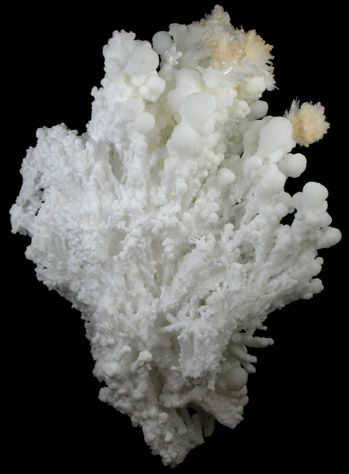 Aragonite from Santa Rita Mine, Aquiles Serdn, Chihuahua, Mexico