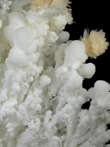 Aragonite from Santa Rita Mine, Aquiles Serdn, Chihuahua, Mexico