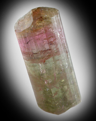 Elbaite Tourmaline (bi-color crystal) from Minas Gerais, Brazil