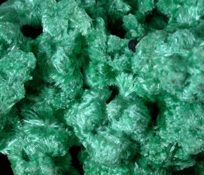 Malachite from Pioche District, Lincoln County, Nevada