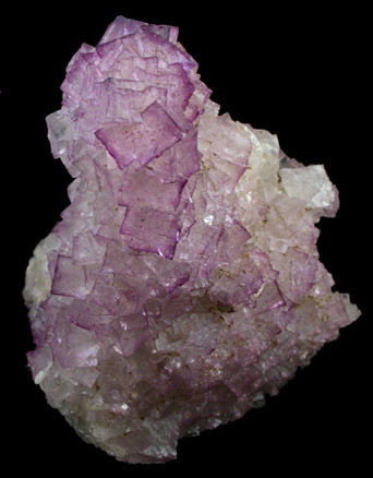 Fluorite from Central Kentucky Fluorspar District, Danville, Boyle County, Kentucky