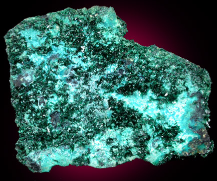 Atacamite with Chrysocolla from Mina la Farola, Copiapo, Atacama Desert, Chile (Type Locality for Atacamite)