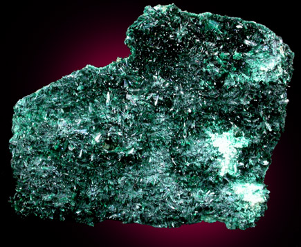 Atacamite with Chrysocolla from Mina la Farola, Copiapo, Atacama Desert, Chile (Type Locality for Atacamite)