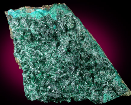 Atacamite with Halloysite from Mina la Farola, Copiapo, Atacama Desert, Chile (Type Locality for Atacamite)