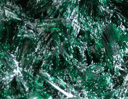 Atacamite with Halloysite from Mina la Farola, Copiapo, Atacama Desert, Chile (Type Locality for Atacamite)