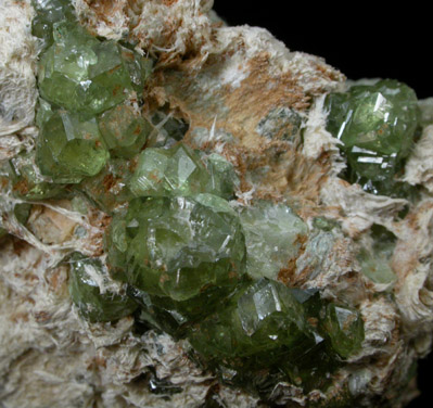 Andradite Garnet var. Demantoid from Alpe Franscia, Val Malenco, Lombardia, Italy