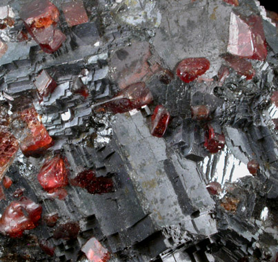 Rhodonite in Galena from 2500' level, Zinc Mine, Broken Hill, New South Wales, Australia
