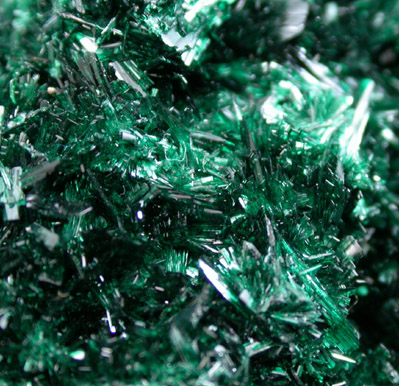 Atacamite with Chrysocolla from Mina la Farola, Copiapo, Atacama Desert, Chile (Type Locality for Atacamite)