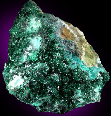 Atacamite with Chrysocolla from Mina la Farola, Copiapo, Atacama Desert, Chile (Type Locality for Atacamite)