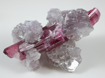 Elbaite Tourmaline, var. Rubellite from Jonas Mine, Conselheiro Pena, Minas Gerais, Brazil