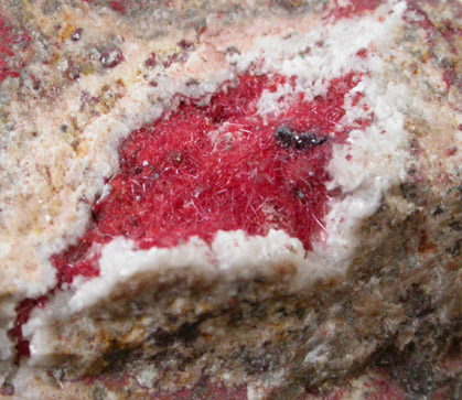 Cuprite var. Chalcotrichite from Bisbee, Warren District, Cochise County, Arizona