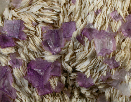 Fluorite on Barite from Central Kentucky Fluorspar District, Danville, Boyle County, Kentucky