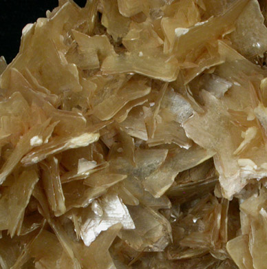 Muscovite var. Star Mica from Minas Gerais, Brazil