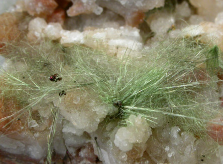 Honessite in Quartz Geode from US Route 27 road cut, Halls Gap, Lincoln County, Kentucky