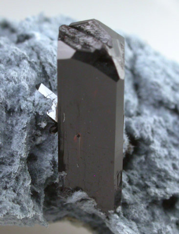 Neptunite from Benitoite Gem Mine, San Benito County, California