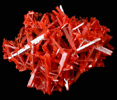 Crocoite from Adelaide Mine, Zeehan, Tasmania, Australia