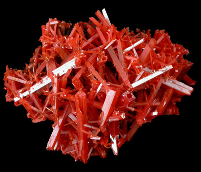 Crocoite from Adelaide Mine, Zeehan, Tasmania, Australia