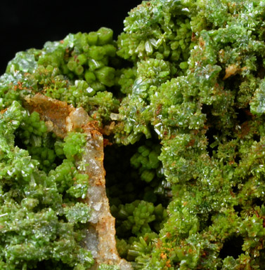 Pyromorphite from Wheatley Mine, Phoenixville, Pennsylvania