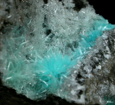 Aurichalcite from 79 Mine, Banner District, near Hayden, Gila County, Arizona