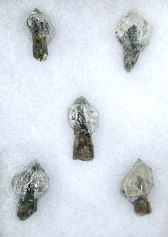 Quartz var. Herkimer Scepters from Treasure Mountain Mine, Little Falls, Herkimer County, New York