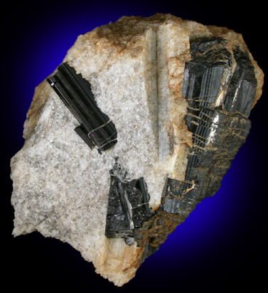 Schorl Tourmaline from West Branch, Newark, Delaware