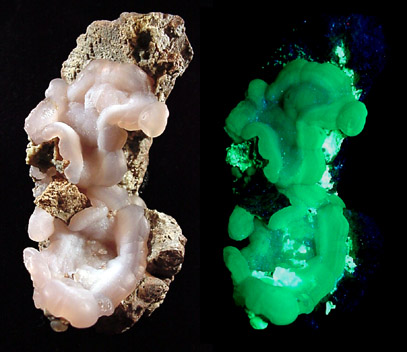 Quartz var. Chalcedony (fluorescent) from Yankee Dog Claim, Hidalgo County, New Mexico