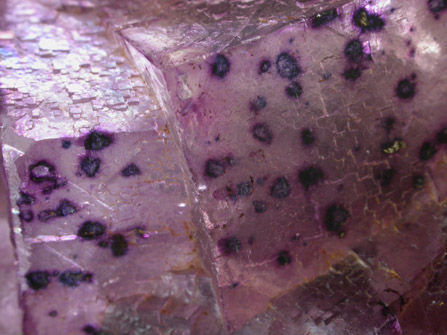 Fluorite from Cave-in-Rock District, Hardin County, Illinois