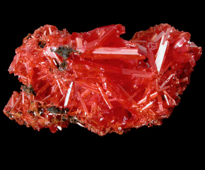 Crocoite from Dundas, Tasmania, Australia