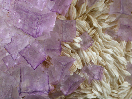 Fluorite on Barite from Central Kentucky Fluorspar District, Danville, Boyle County, Kentucky