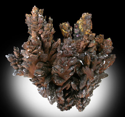 Descloizite from Berg Aukas Mine, 16 km ENE of Grootfontein, Otavi Mountain Land, Namibia