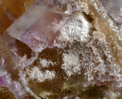 Fluorite with Barite and Chalcopyrite from Minerva #1 Mine, Cave-in-Rock District, Hardin County, Illinois