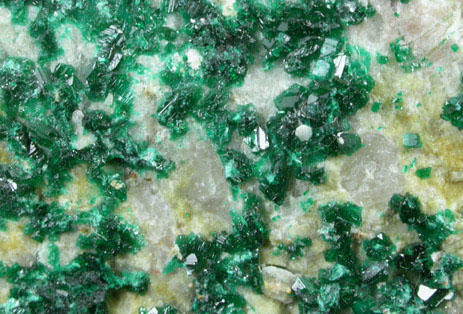 Atacamite from Mina la Farola, Copiapo, Atacama Desert, Chile (Type Locality for Atacamite)