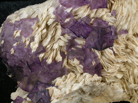 Fluorite on Barite from Central Kentucky Fluorspar District, Danville, Boyle County, Kentucky