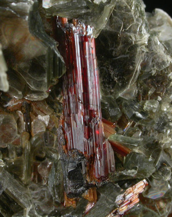 Muscovite with Rutile from Shelby, Cleveland County, North Carolina