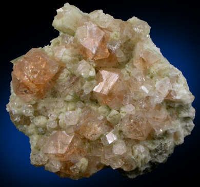 Grossular Garnet on Diopside from Jeffrey Mine, Asbestos, Qubec, Canada