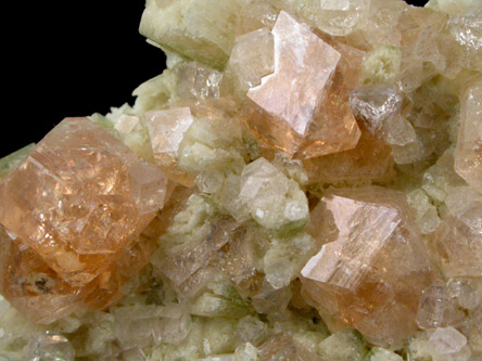 Grossular Garnet on Diopside from Jeffrey Mine, Asbestos, Qubec, Canada