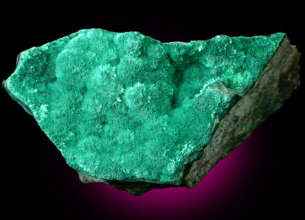 Brochantite from Mina Vieja, Potrerillos, Atacama, Chile