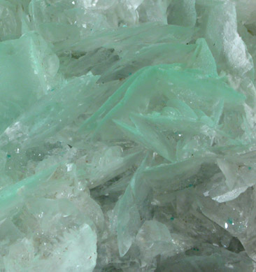 Aurichalcite inclusions in Calcite from Mina Ojuela, Mapimi, Durango, Mexico