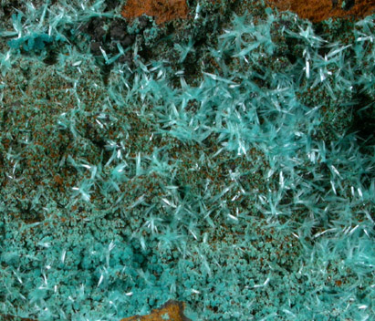 Aurichalcite inclusions in Calcite from Mina Ojuela, Mapimi, Durango, Mexico