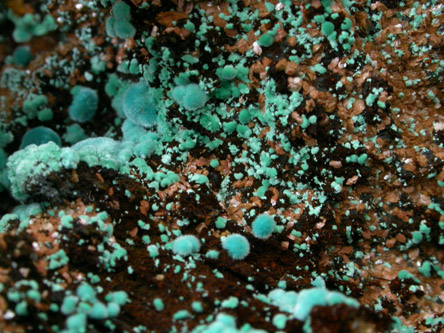 Rosasite from Mina Ojuela, Mapimi, Durango, Mexico