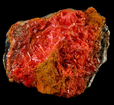 Crocoite from Dundas, Tasmania, Australia