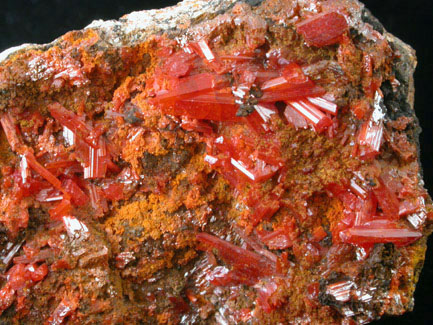 Crocoite from Dundas, Tasmania, Australia