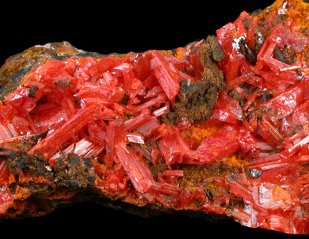 Crocoite from Dundas, Tasmania, Australia