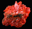 Crocoite from Dundas, Tasmania, Australia